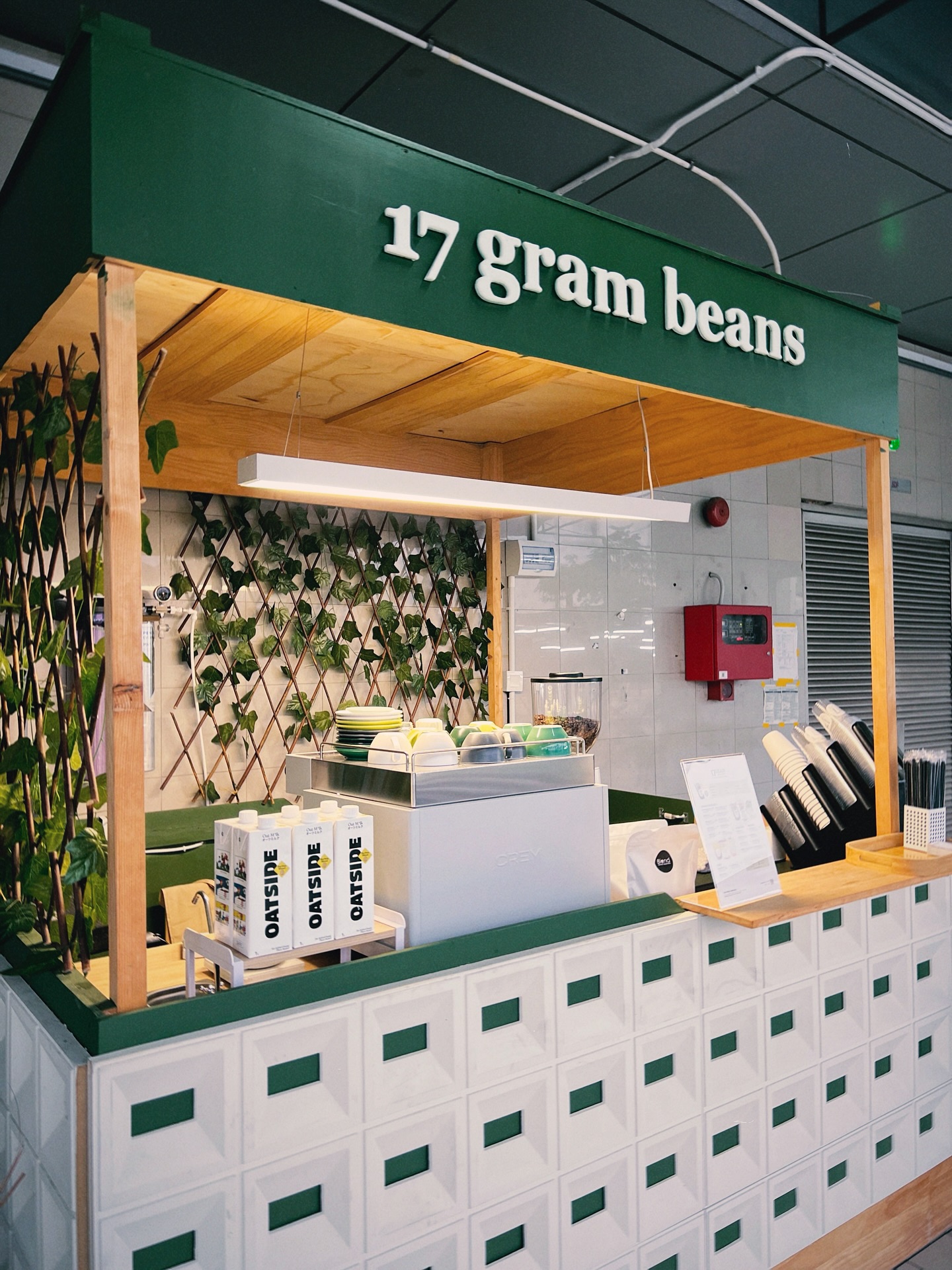 17Gram Beans FCZ